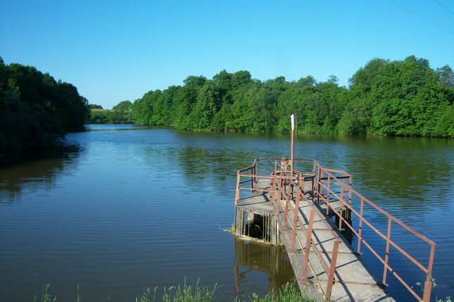 Užliedžių tvenkinys
